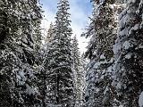 Yosemite 004