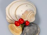 Macro Play 003