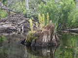 Green River Reservoir 008