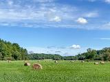 Mount Laraway 007