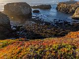 D Mendocino Headlands 003