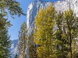 Yosemite 011