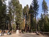 Yosemite 031