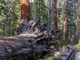 Yosemite 033