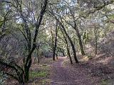 Stevens Creek 004