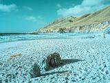 Winter Seascapes 023