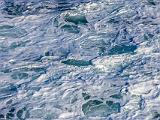 Winter Seascapes 043