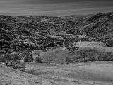 Sunol 009