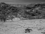 Sunol 010
