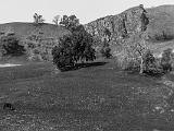 Sunol 012