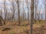 Vermont Spring 006