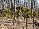 Vermont Spring 010