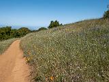 05-B Monte Bello OSP