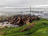 Tidal Zone 005