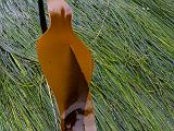 Tidal Zone 018