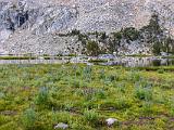 Yosemite 012