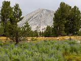 Yosemite 016