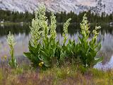 Yosemite 018