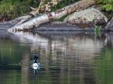 Weller Pond 021
