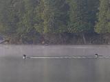 Weller Pond 022