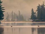 08-E Weller Pond