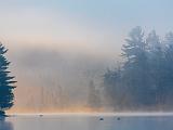 Weller Pond 024