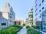 New York City 023