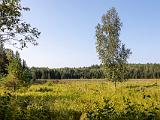 Voyageurs 009