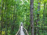 Voyageurs 034