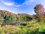 Fall Foliage 001