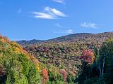 Fall Foliage 002