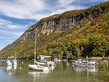 Fall Foliage 005