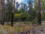 Yosemite 006