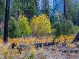 Yosemite 010
