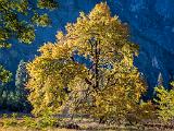 Yosemite 012