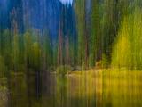Yosemite 021