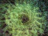 Creative Photography Without Bounds 012
