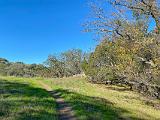Almaden 002