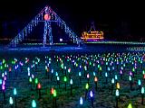 11-D Winter Lights