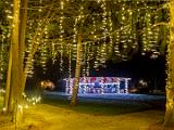Winter Lights 008