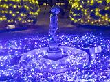 Winter Lights 011
