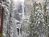 Yosemite 009