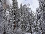 Yosemite 010
