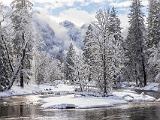 12-D Yosemite
