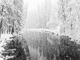 Yosemite 030