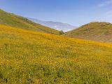 Eastern California 001