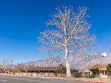 Eastern California 007