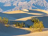 A Great Sand Dunes 002