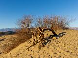 A Great Sand Dunes 005
