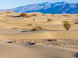 A Great Sand Dunes 012